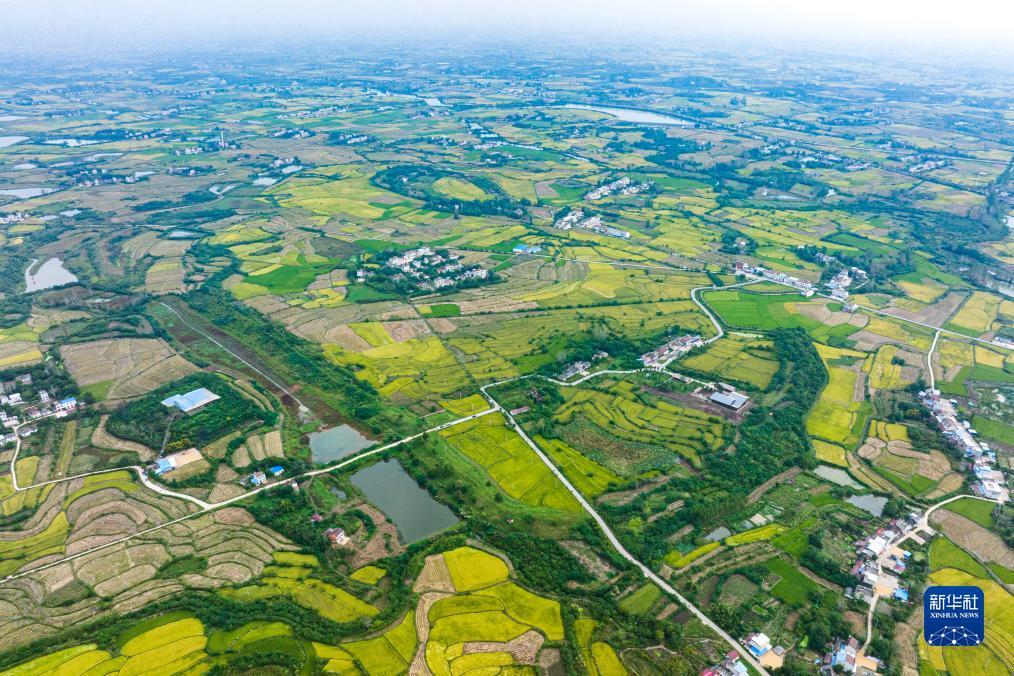 百家阁九宫八卦三路打